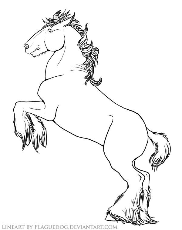 600x759 Colorful Pictures Of Draught Horses Rearing Draft Horse By