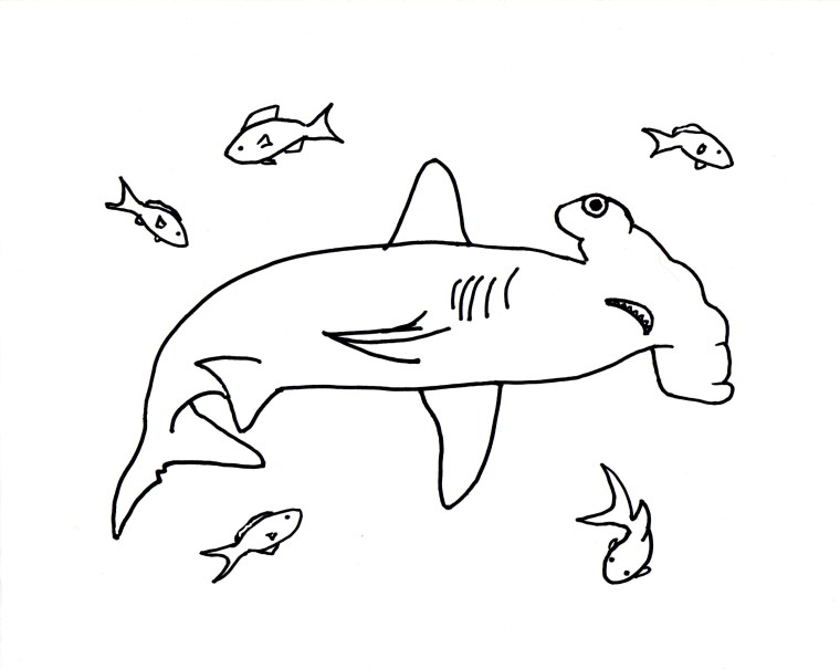 760x605 Shark Coloring Pages Pdf