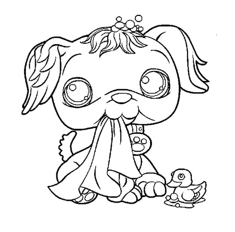 786x778 Pet Shop Coloring Pages Little Pet Shop Horse Coloring Pages