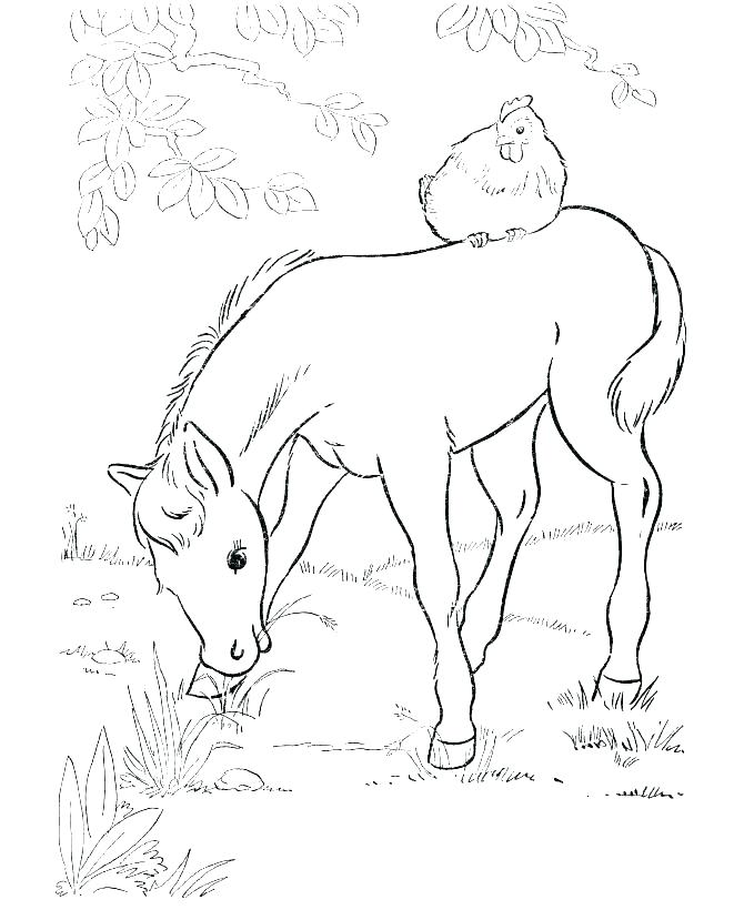 670x820 Horse Jumping Coloring Pages Horse Jumping Coloring Pages Coloring
