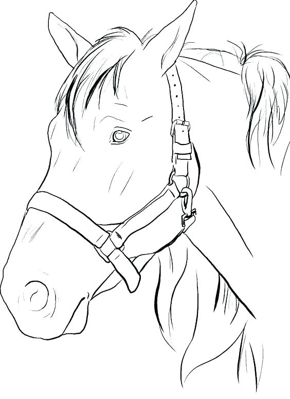 564x776 Horse Jumping Coloring Pages Se Jumping Coloring Pages Printable