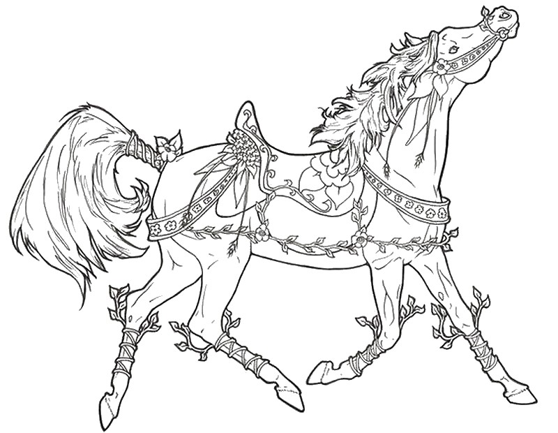 800x620 Adult Coloring Pages Horses