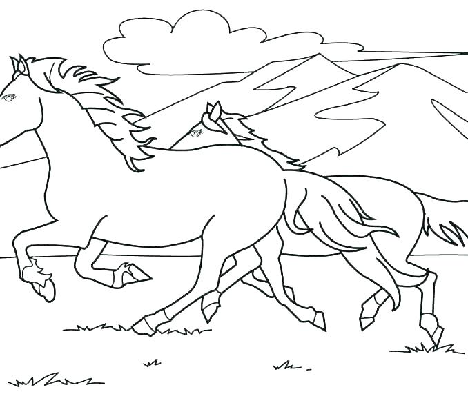 Show Horse Coloring Pages at GetColorings.com | Free printable ...