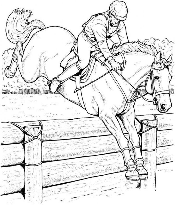 Show Jumping Horse Coloring Pages at GetColorings.com | Free printable ...