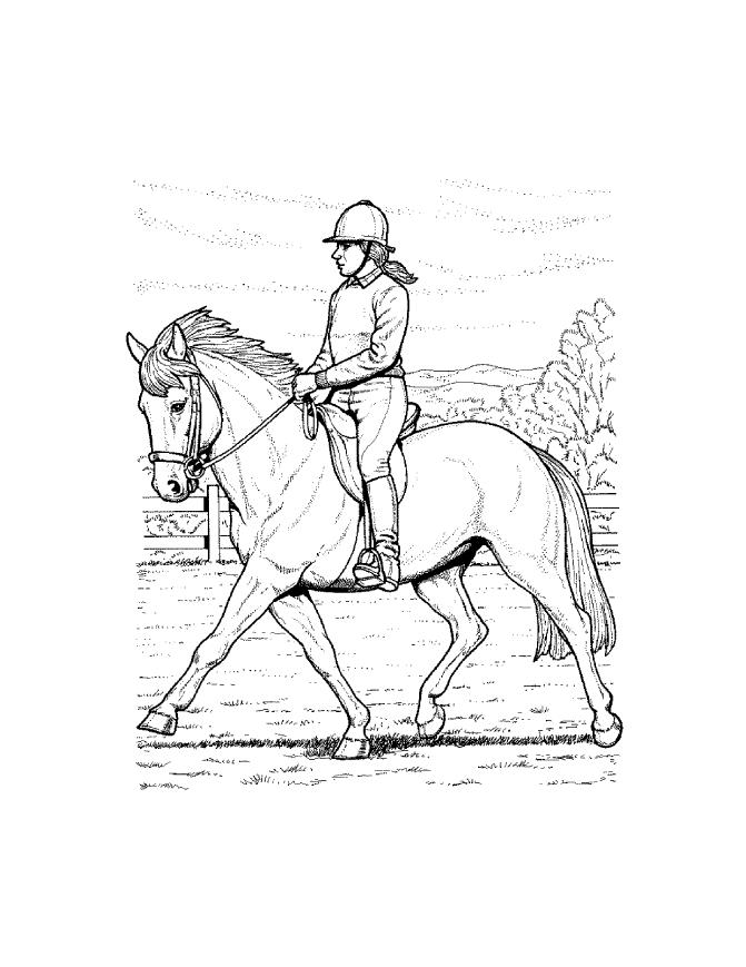 671x869 Horse Coloring Sheets For Kids