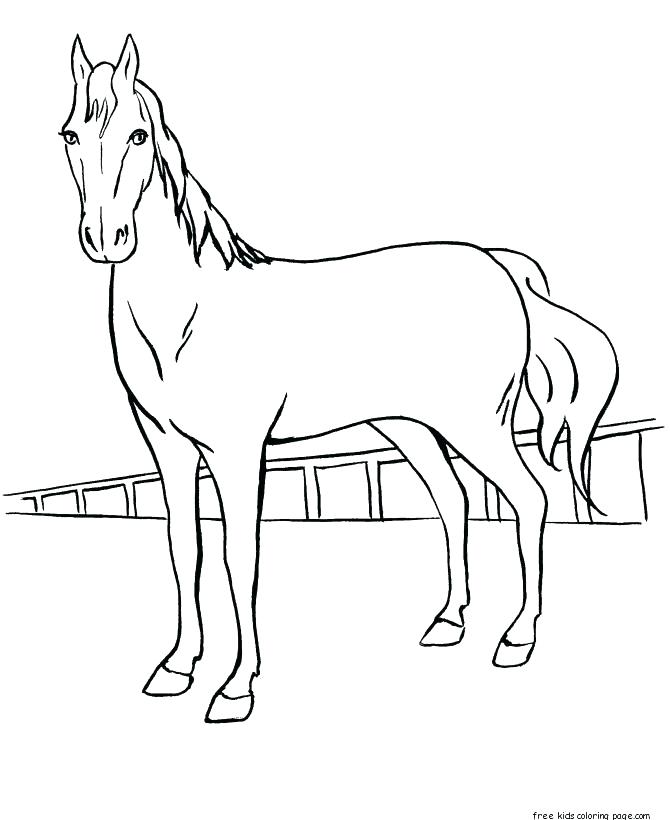 670x820 Free Horse Coloring Pages Show Jumping Horse Colouring Pages