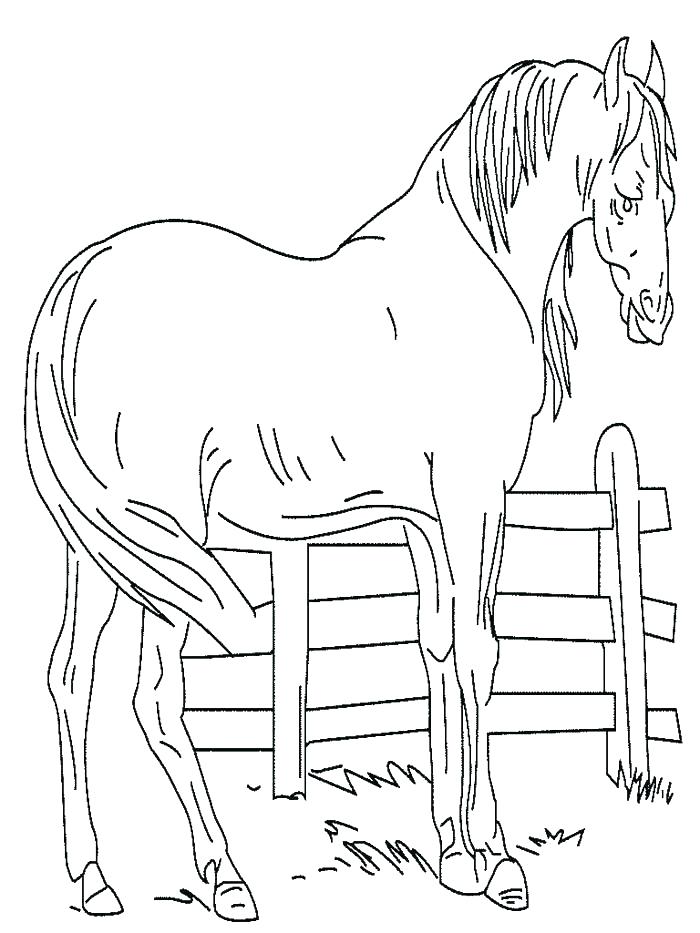 700x933 Horse Jumping Coloring Pages Coloring Pages Animals Cute Horse
