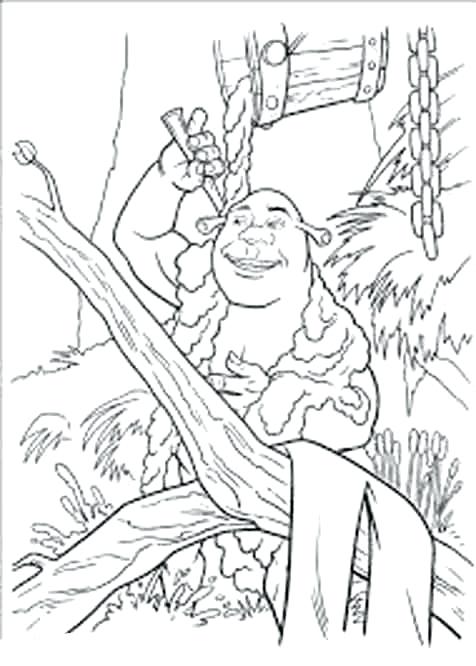 476x666 Shrek Coloring Page Shippa.co