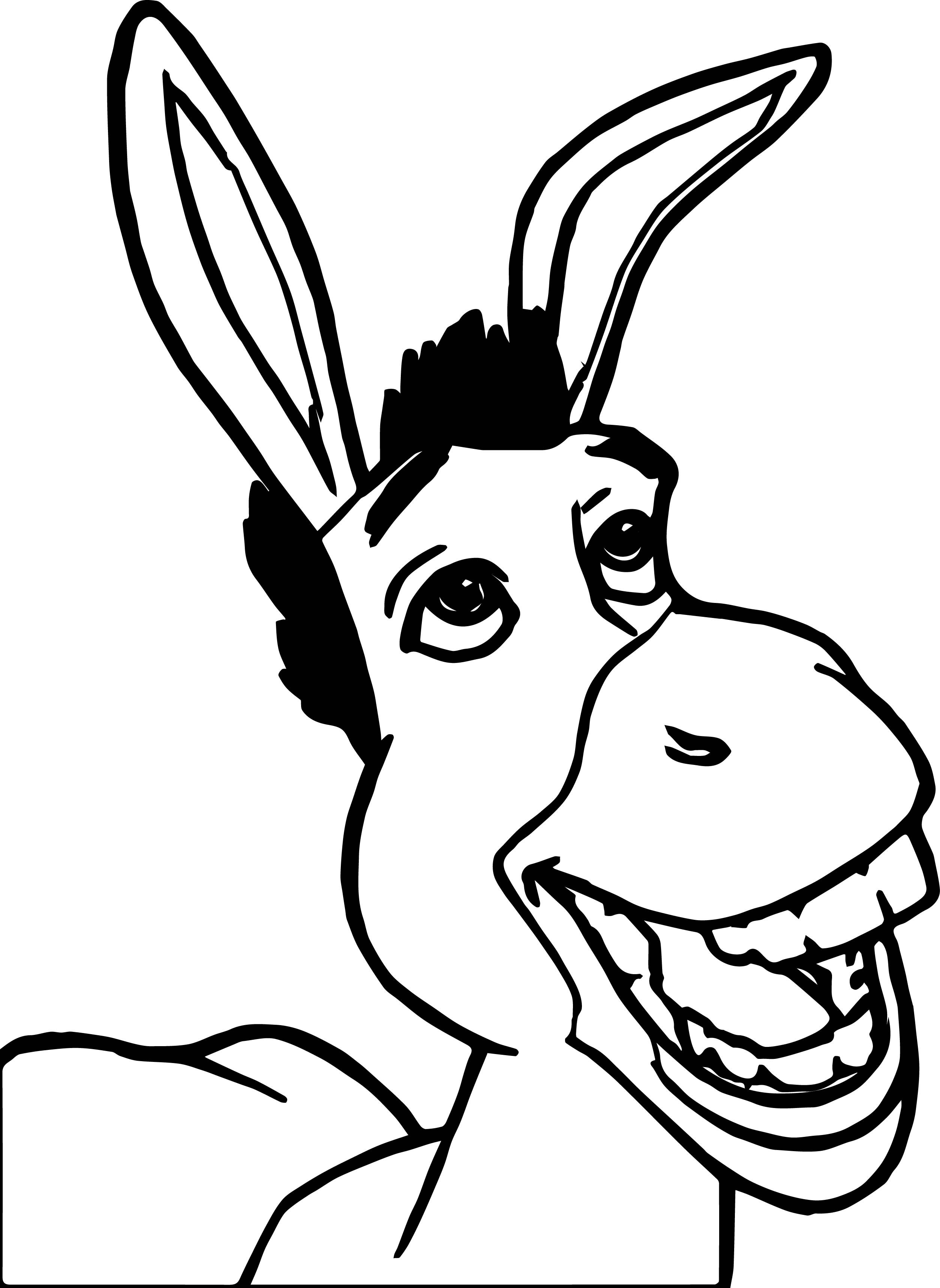 Donkey From Shrek Coloring Page | Images and Photos finder