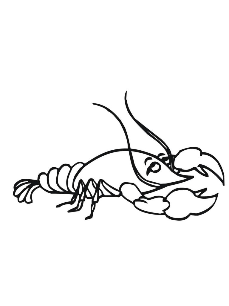 Shrimp Coloring Page at GetColorings.com | Free printable colorings ...