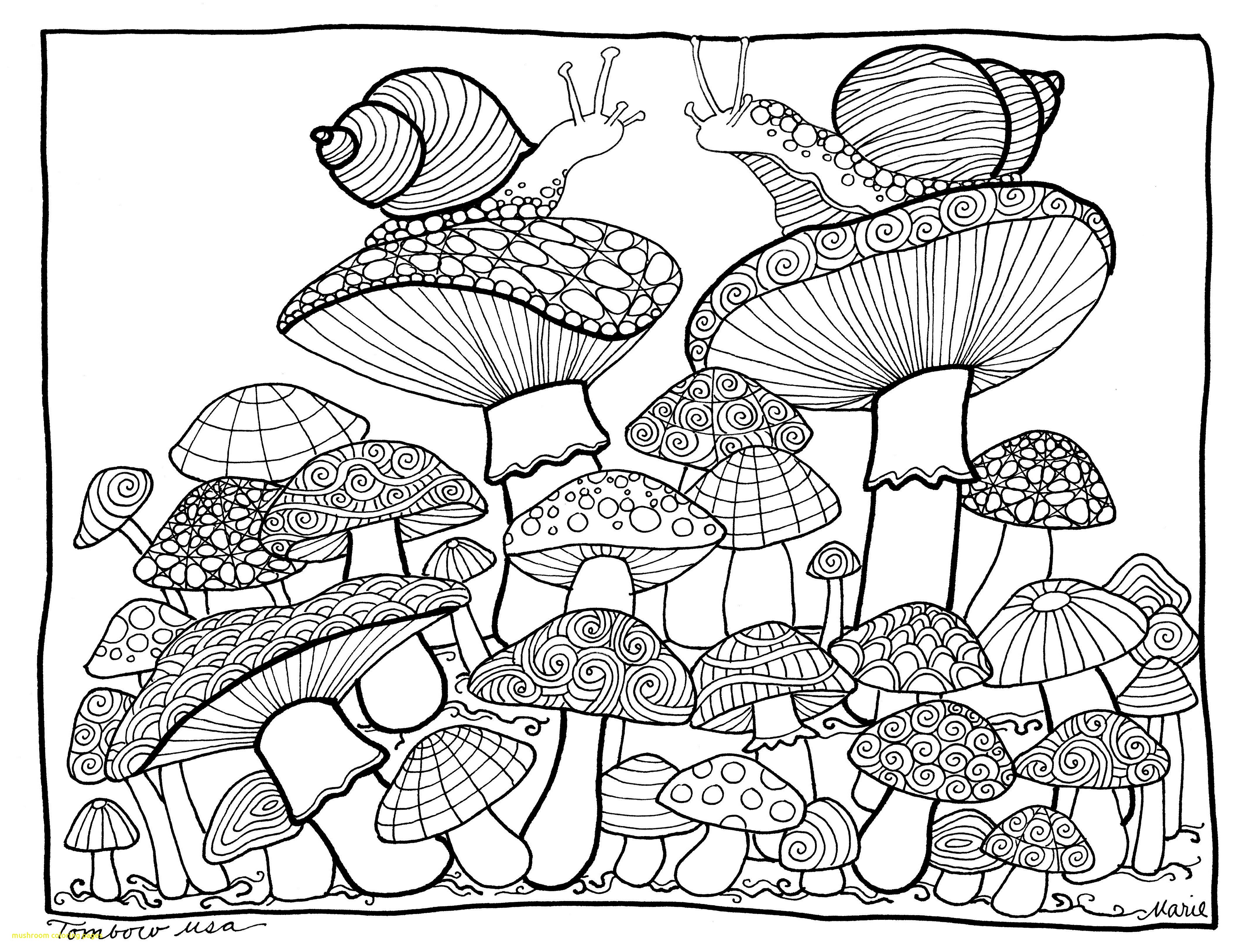 4270x3253 Mushroom Coloring Pages With Three Small Mushrooms Coloring Page