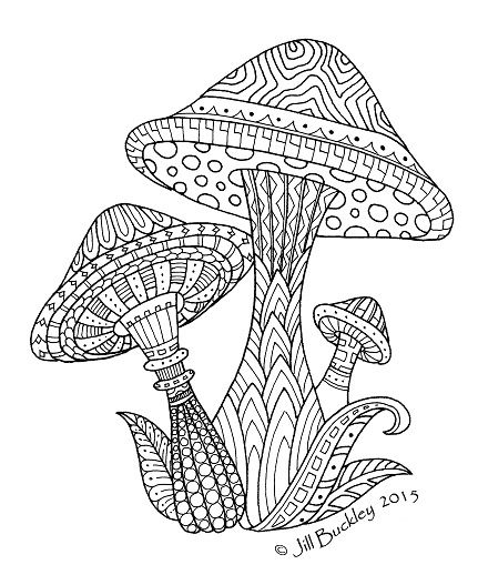 204 Best Colouring~mushrooms ~ Toadstools ~ Zentangles 431x527 204 Best Colouring~mushrooms ~ Toadstools ~ Zentangles