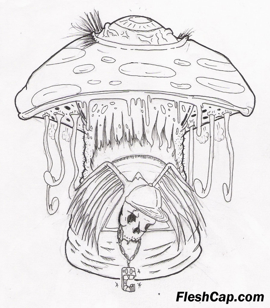 Mushroom Coloring Page 898x1024 Mushroom Coloring Page