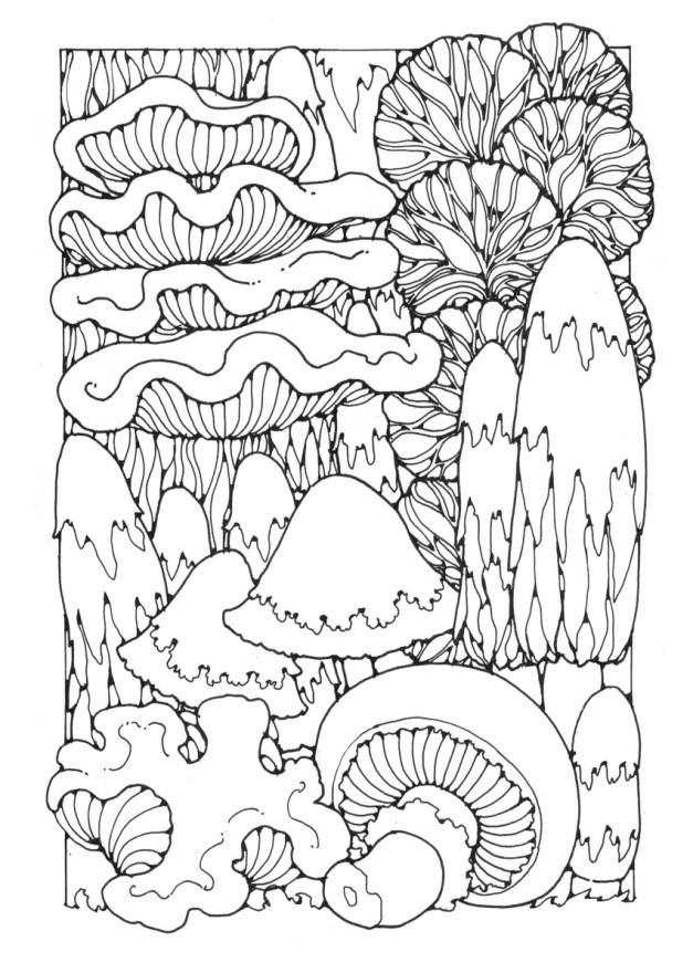 266 Best Mushrooms Images On Fungi, Mushrooms 627x880 266 Best Mushrooms Images On Fungi, Mushrooms