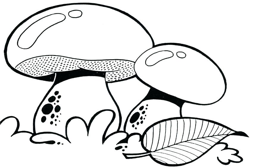Trippy Mushroom Coloring Pages Mushroom Coloring Pages Full Size 850x567 Trippy Mushroom Coloring Pages Mushroom Coloring Pages Full Size