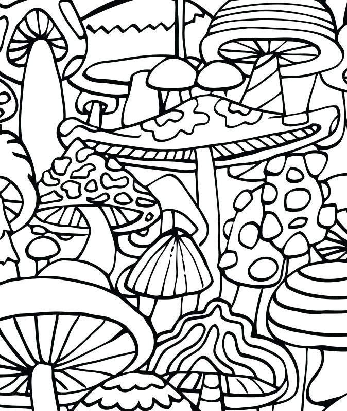89 Best Mushrooms Coloring Images On Coloring Pages 674x800 89 Best Mushrooms Coloring Images On Coloring Pages