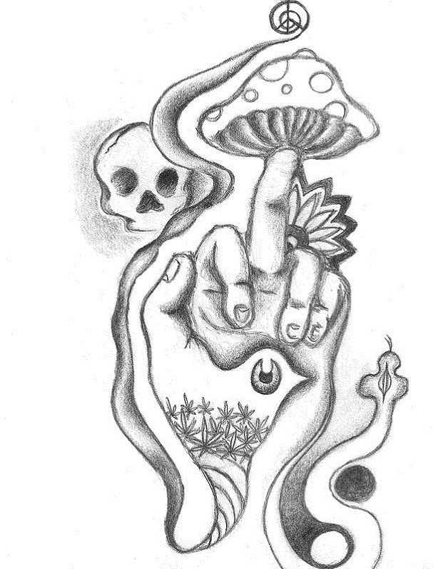 Beautiful Coloring Pages For Adults Mushrooms Pages Mushrooms 618x797 Beautiful Coloring Pages For Adults Mushrooms Pages Mushrooms
