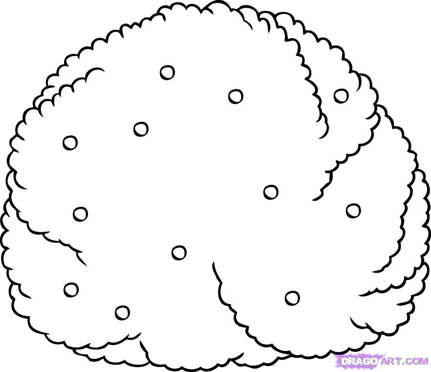 882x761 Shrub Coloring Page
