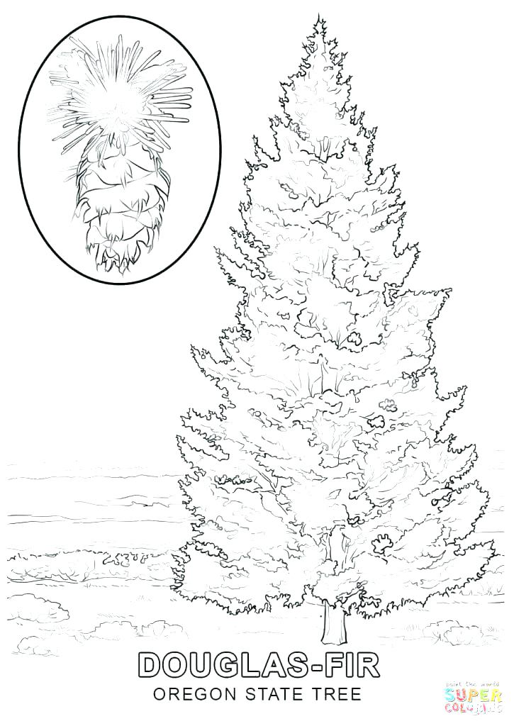 Shrub Coloring Pages Coloring Pages