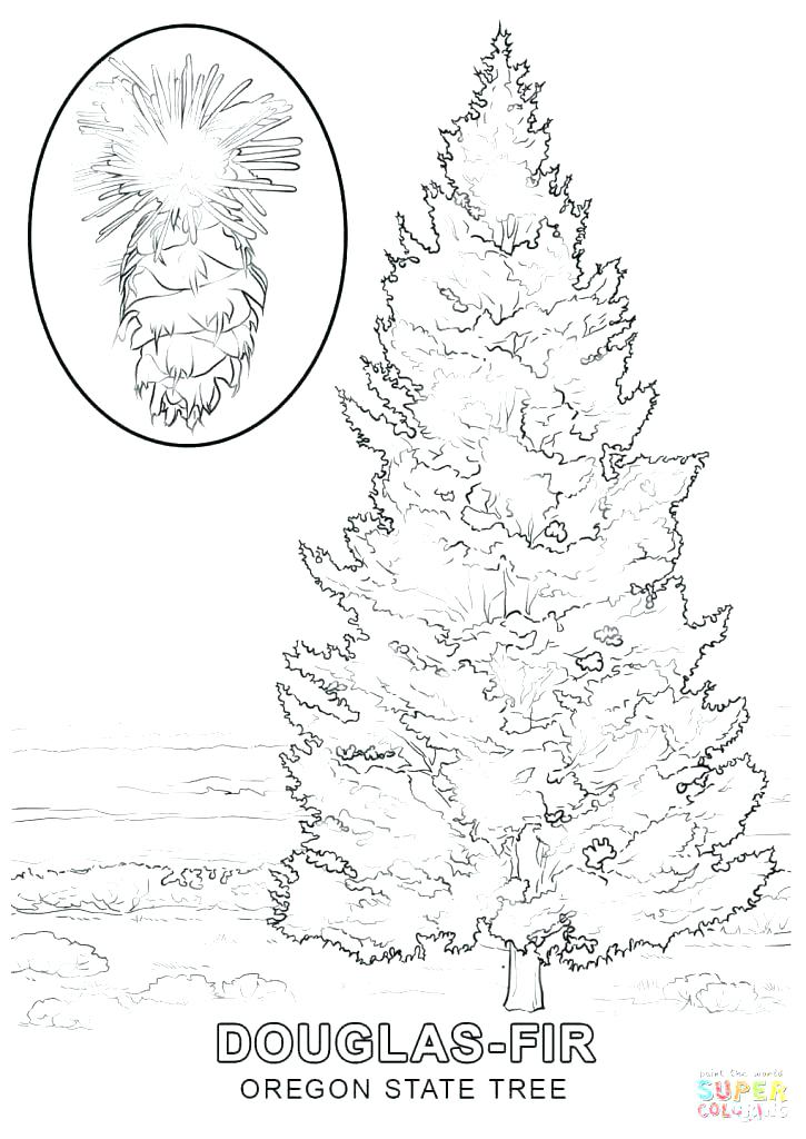 725x1024 Christmas Tree Coloring Pages For Kids Fuhrer Von