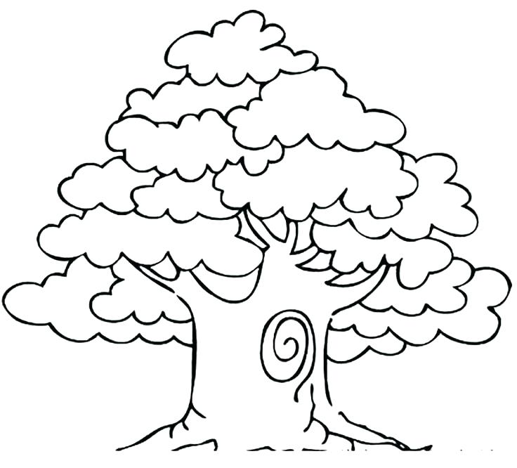 736x666 Coloring Pages Of Trees Tree Printable Coloring Page Shrub