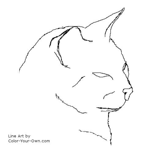 500x500 Siamese Cat Headstudy Coloring Page