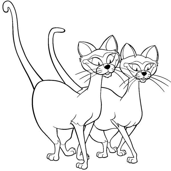 600x601 Siamese Cat Coloring Page Lady The Tramp Siamese Cats Lady
