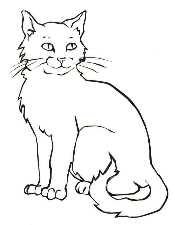 610x784 Cat Coloring Page