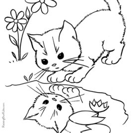 268x268 Free Printable Siamese Cat Coloring Page Coloring Pages Cats Print