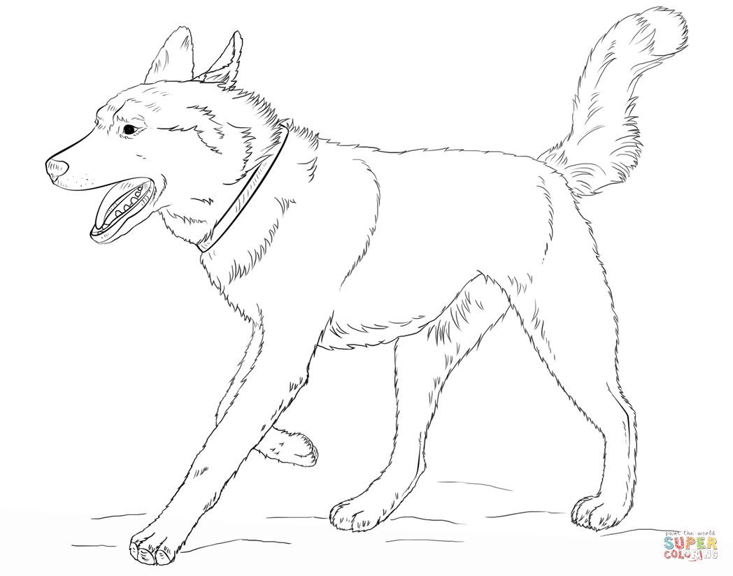 Running Siberian Husky Coloring Page For Husky Coloring Pages 1048x824 Running Siberian Husky Coloring Page For Husky Coloring Pages