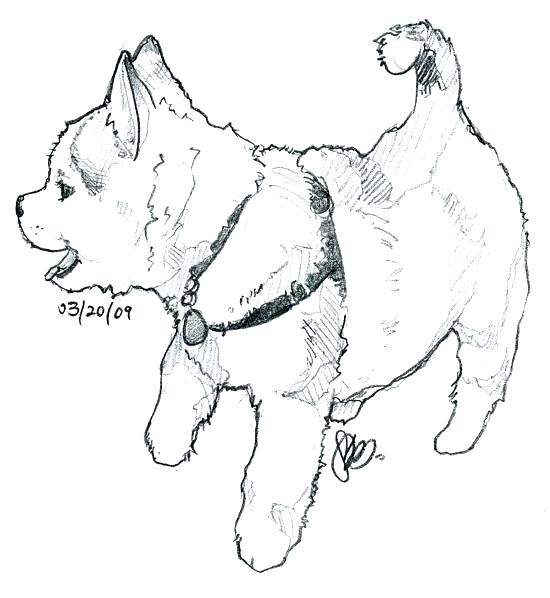 Siberian Husky Coloring Pages Husky Coloring Page Detail Husky Dog 550x598 Siberian Husky Coloring Pages Husky Coloring Page Detail Husky Dog