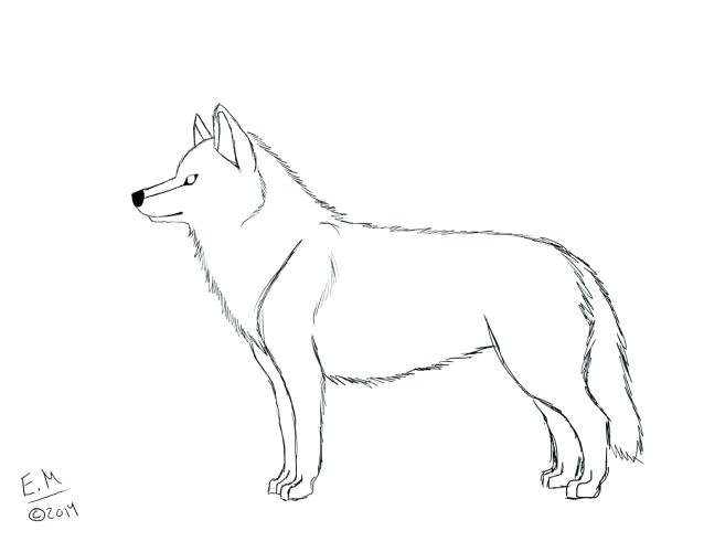 Husky Coloring Pages 638x500 Husky Coloring Pages