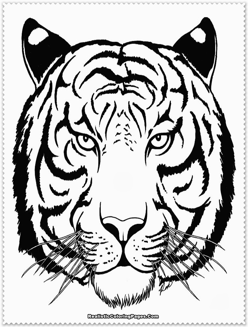 Siberian Tiger Coloring Page
