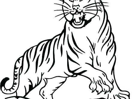 Siberian Tiger Coloring Page at GetColorings.com | Free printable ...