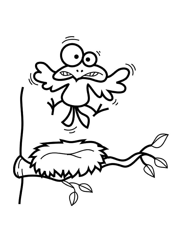 600x849 Bird Silly Face Over His Bird Nest Coloring Pages Best Place