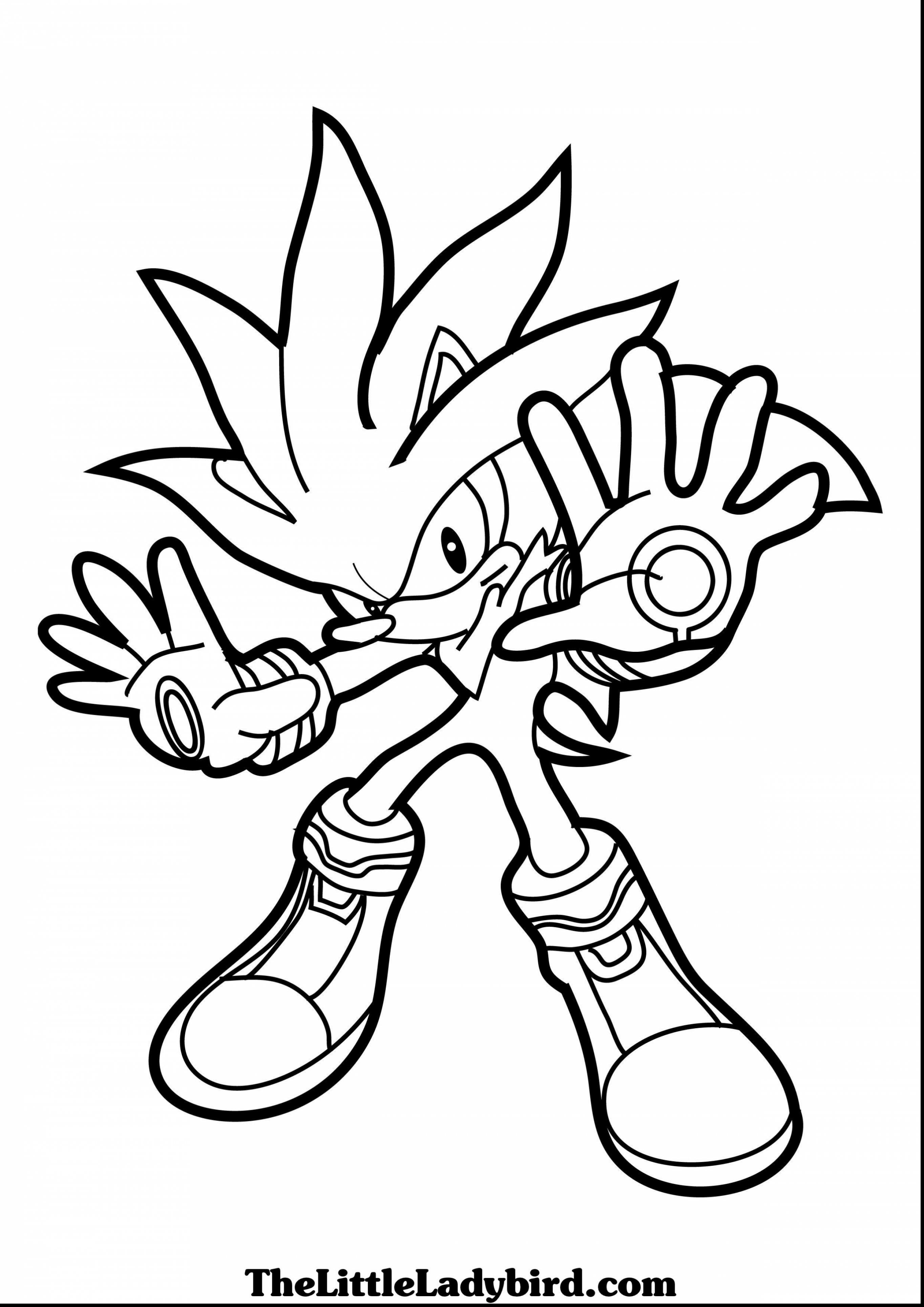 Unlimited Silver The Hedgehog Coloring Pages S 2728x3858 Unlimited Silver The Hedgehog Coloring Pages S