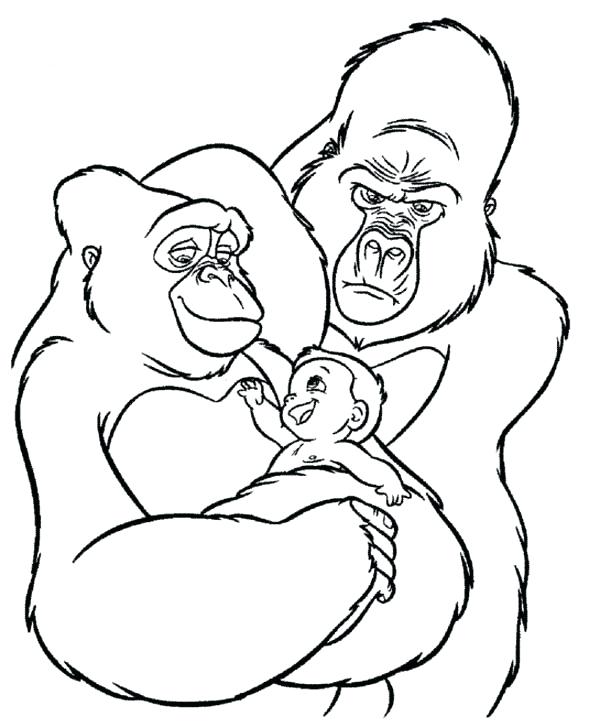 600x727 Gorilla Coloring Page Coloring Page The Gorilla The Gorilla