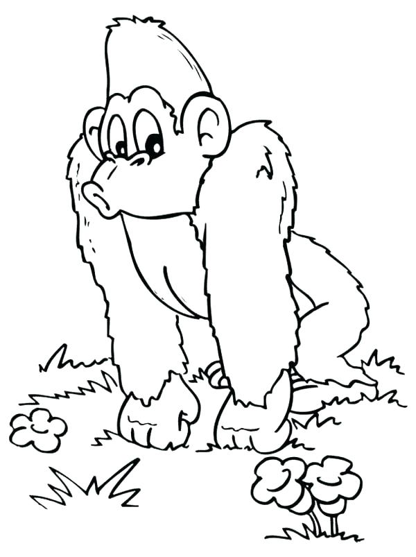 600x803 Gorilla Coloring Pages Top Rated Gorilla Coloring Pages Pictures