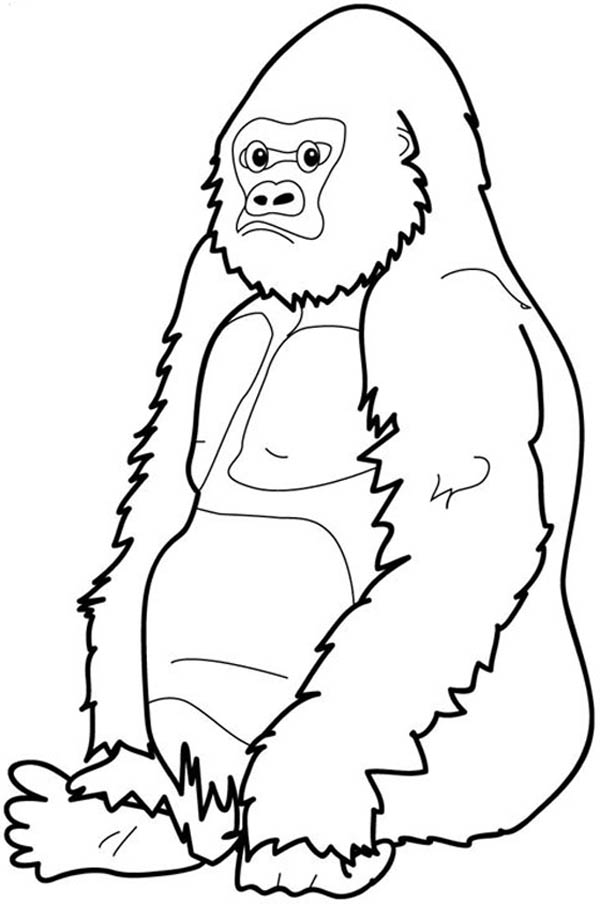600x904 Ape Coloring Pages