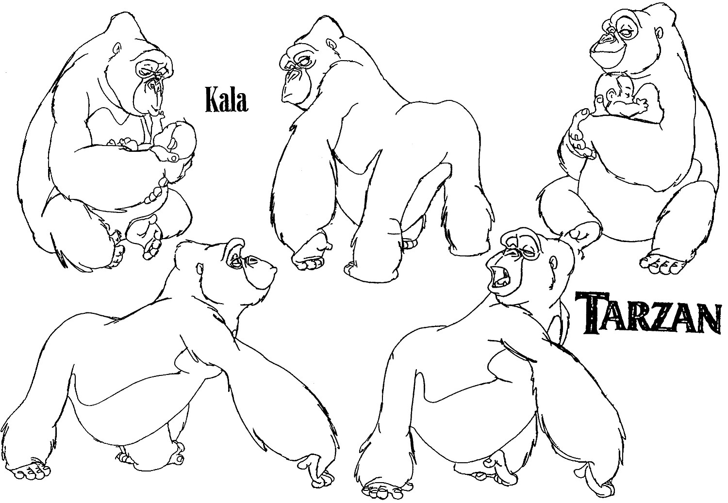 1500x1037 Awesome Silverback Gorilla Coloring Pages Photos