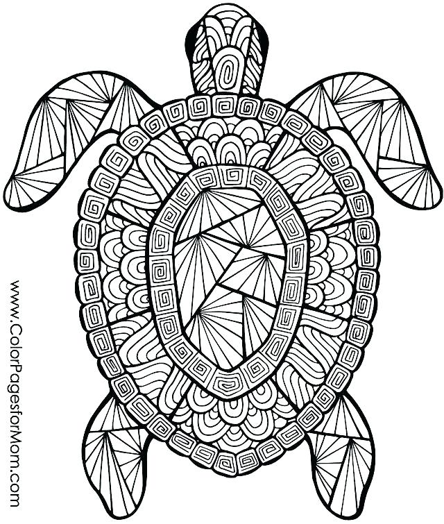 Coloring Pages Of Animals Coloring Pages For Kids Animals Animal 640x755 Coloring Pages Of Animals Coloring Pages For Kids Animals Animal