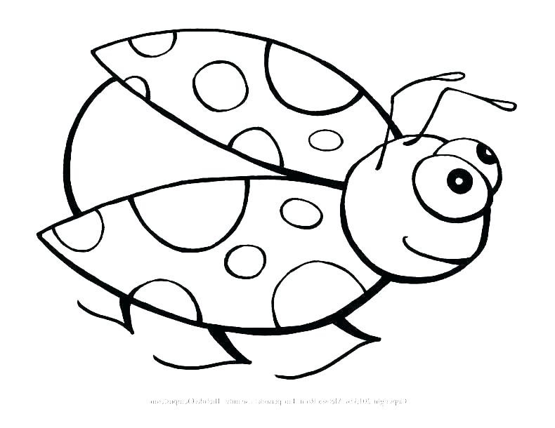 Coloring Pages Of Insects Insects Coloring Simple Coloring Page 790x610 Coloring Pages Of Insects Insects Coloring Simple Coloring Page