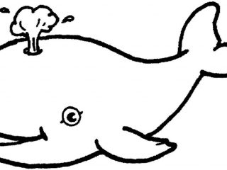 Simple Animal Coloring Pages Coloring Pages Pictures And Coloring 320x240 Simple Animal Coloring Pages Coloring Pages Pictures And Coloring