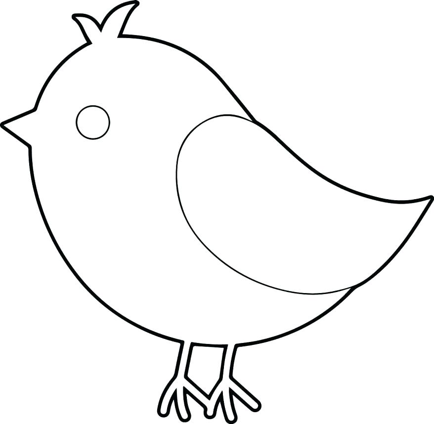 878x858 Coloring Pages Birds Cute Bird Cute Bird Coloring Page Realistic