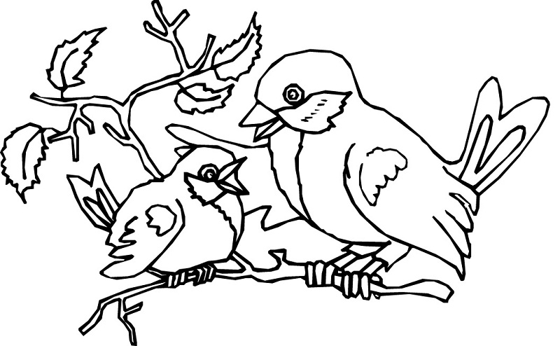 800x494 Coloring Pages. Bird Coloring Books