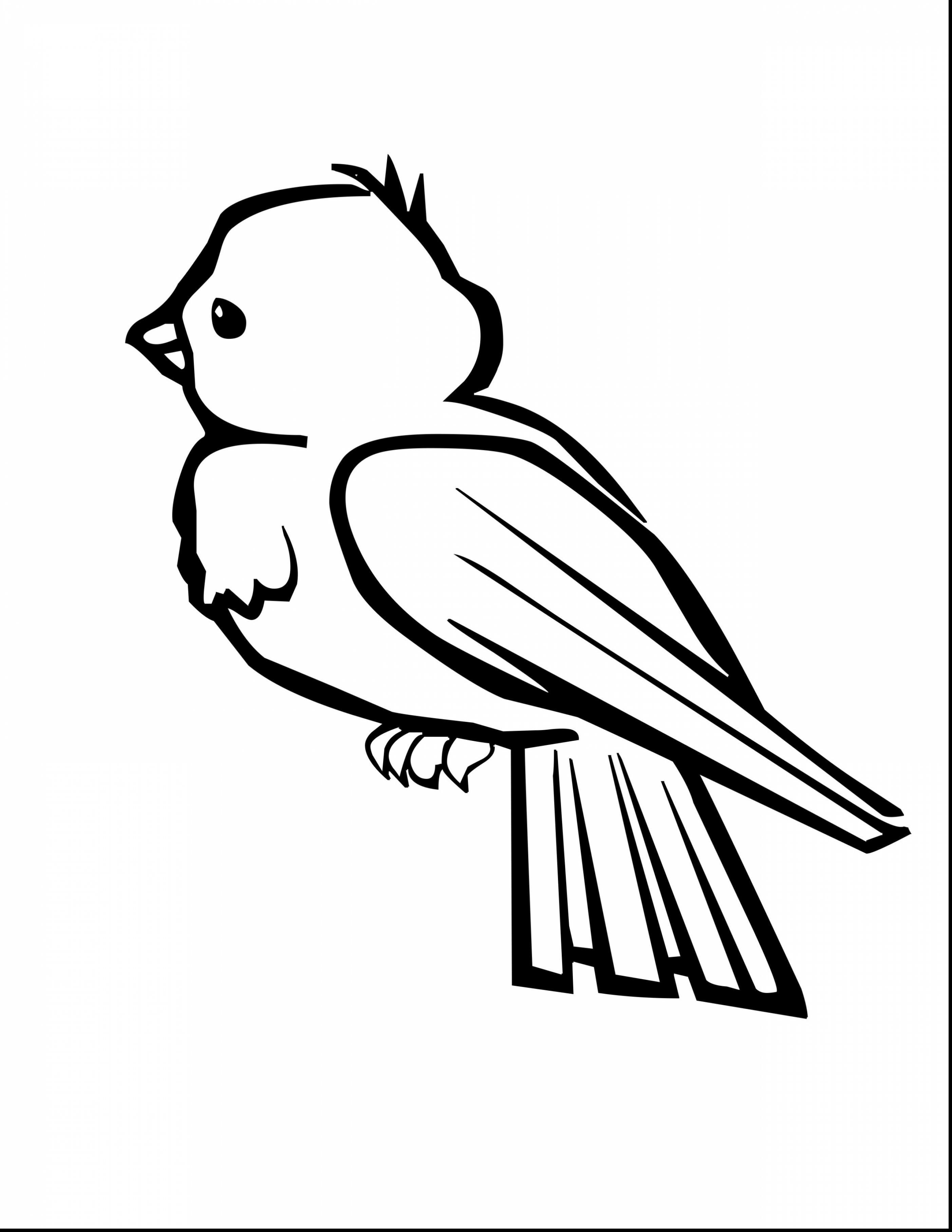 2805x3630 Easy Bird Coloring Pages Copy Elegant Excellent Bird Coloring