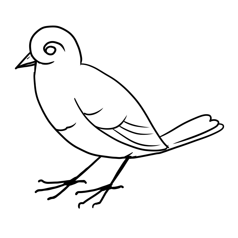 800x800 Free Bird Coloring Pages Printable Coloring Pages For Kids