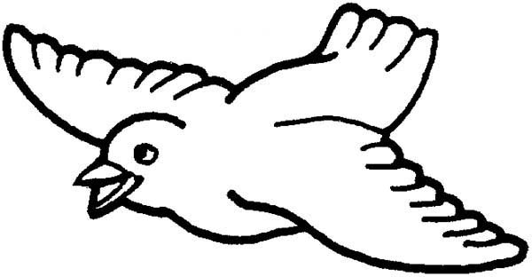 600x312 Flying Bird Coloring Pages