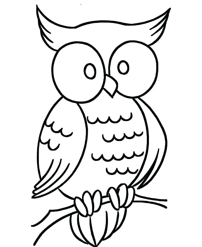 670x820 Turkey Bird Coloring Pages Professional