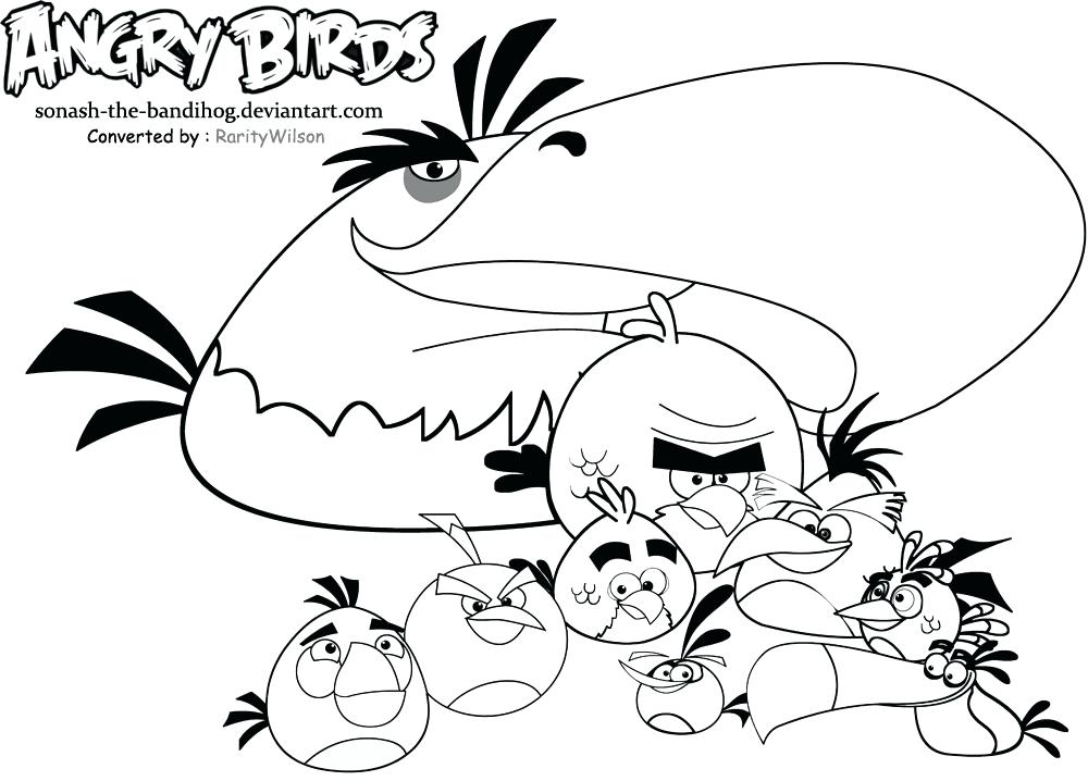 1000x718 Bird Coloring Pages Bird Coloring Pages Design Simple Great Bird